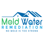 Mold Water Remediation